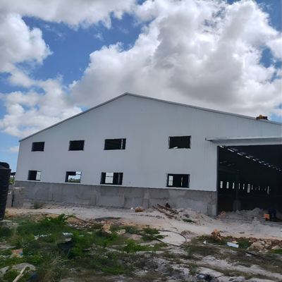 Steel Structure Prefabricated Workshop Hangar Storage Shed Building 