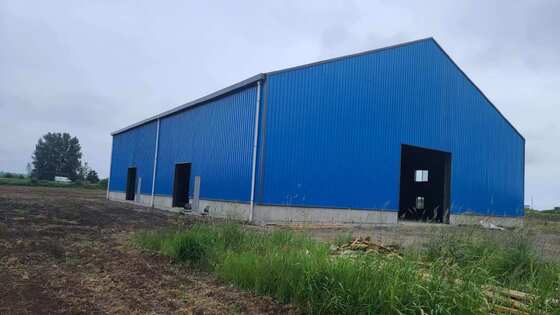 Tailored Storage Shed Featuring Eco-Friendly Steel Framework and Thin-Gauge Steel Member Assembly