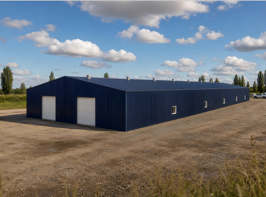 Prefabricated Steel Structure Building Solutions for Industrial Warehouses Commercial Buildings and Large Scale Construction Projects